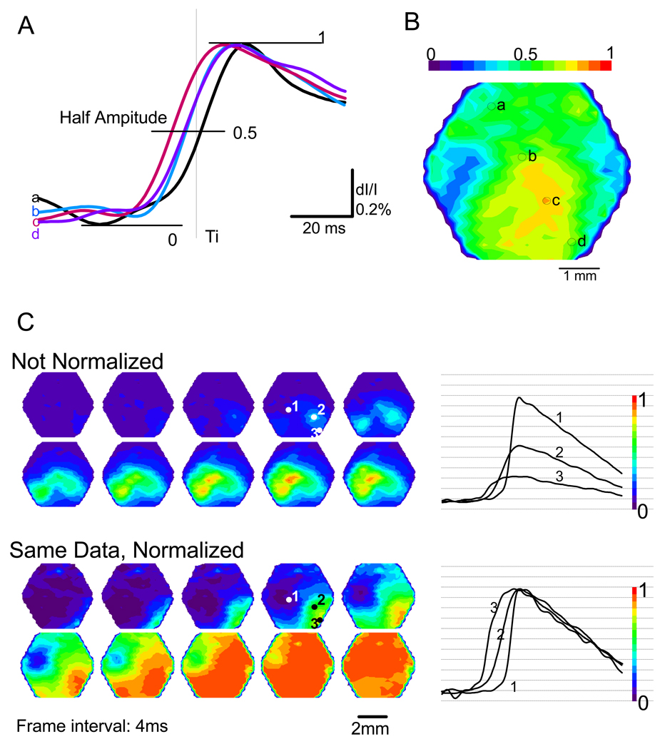 Fig. 3