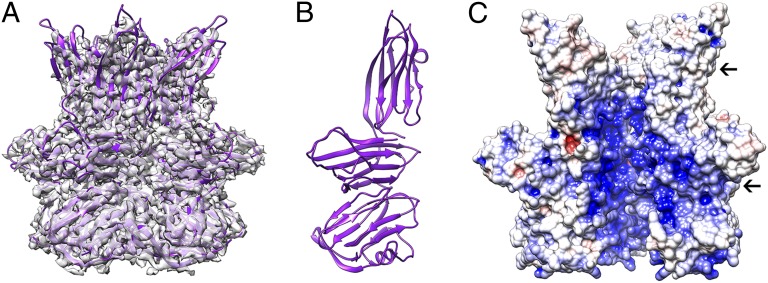 Fig. 4.