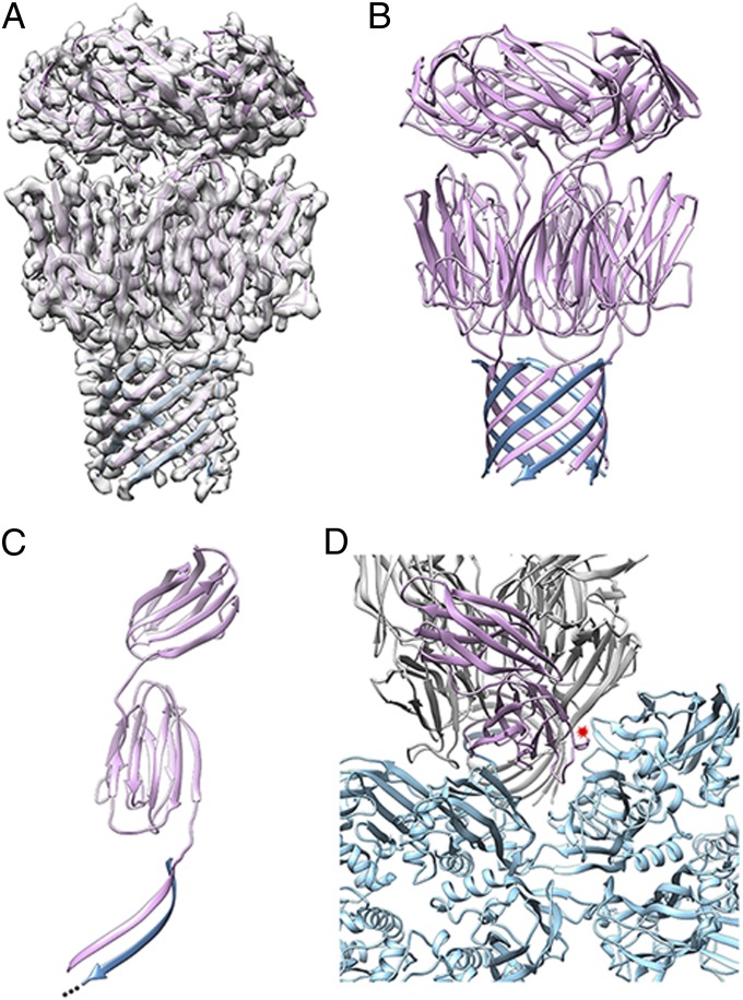 Fig. 3.