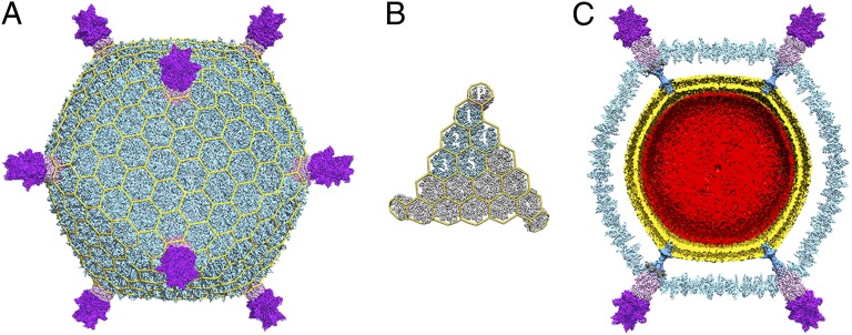 Fig. 1.