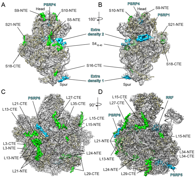 Figure 1.