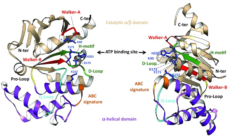 Fig. 6