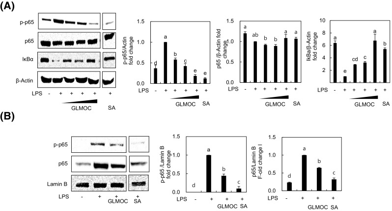 Fig. 4