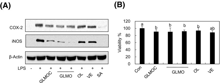 Fig. 6