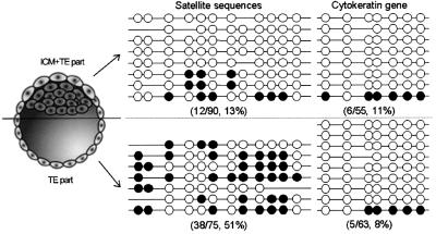 graphic file with name cdf093f6.jpg