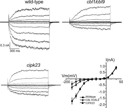 Fig. 6.