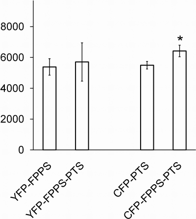 FIG. 4.