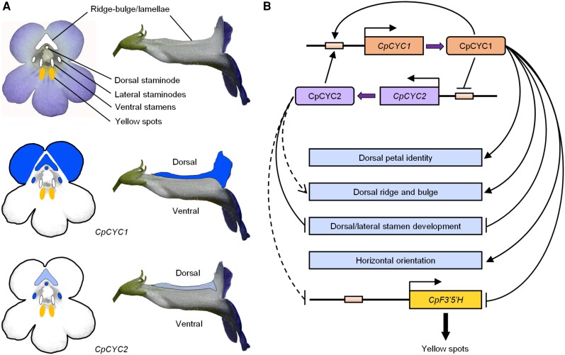 Figure 9.