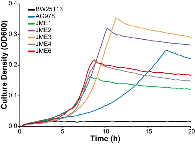 FIG 2