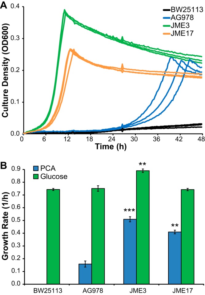 FIG 3