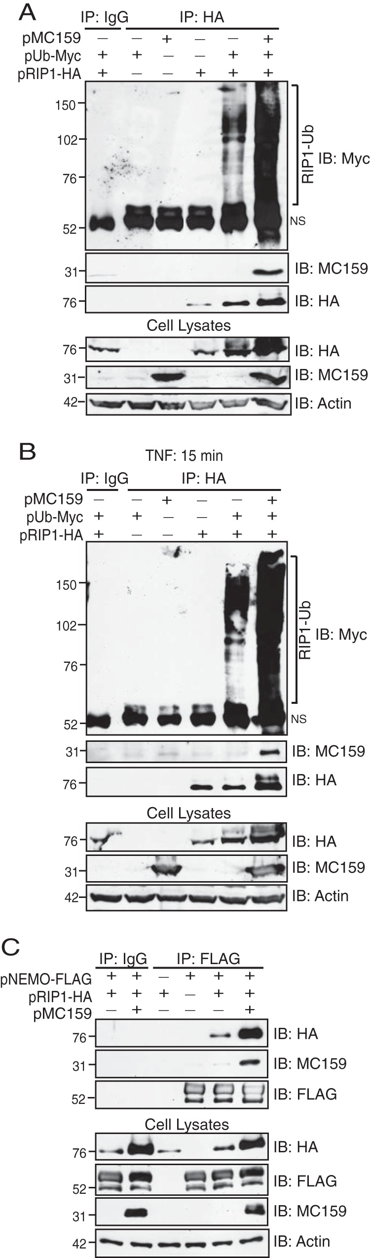 FIG 3