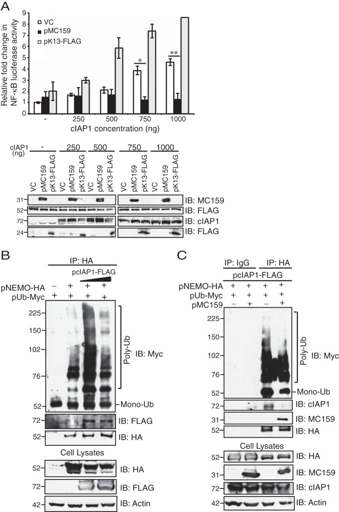 FIG 6