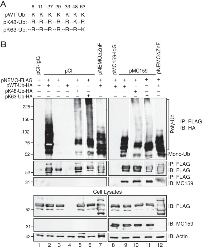 FIG 2