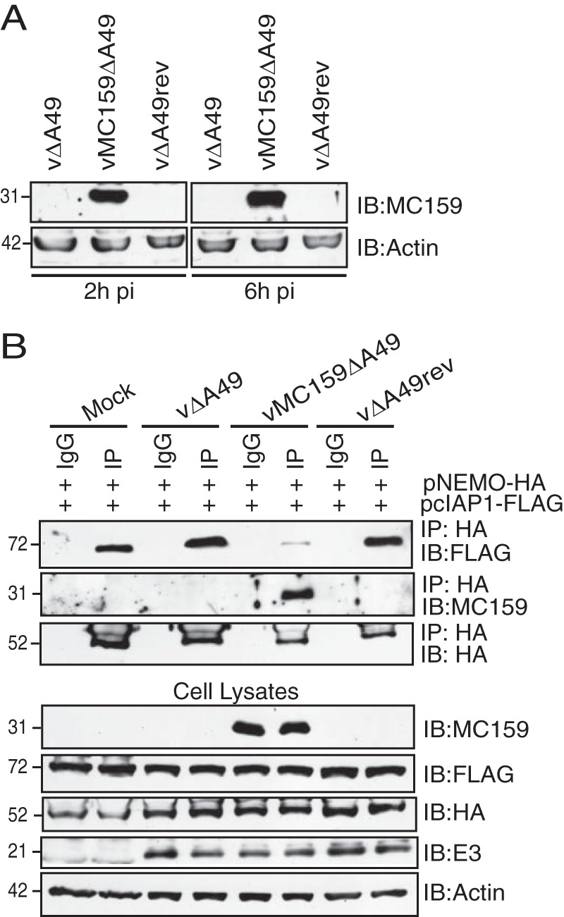 FIG 8