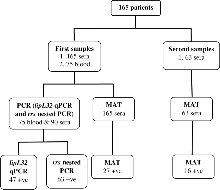 Fig 1