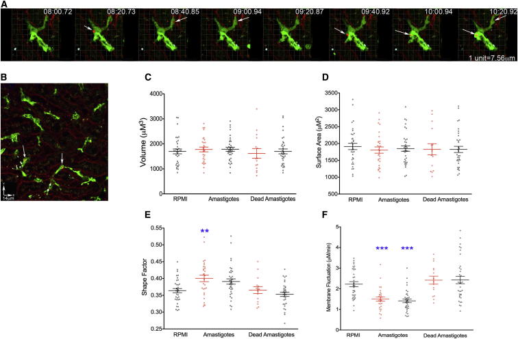 Figure 2