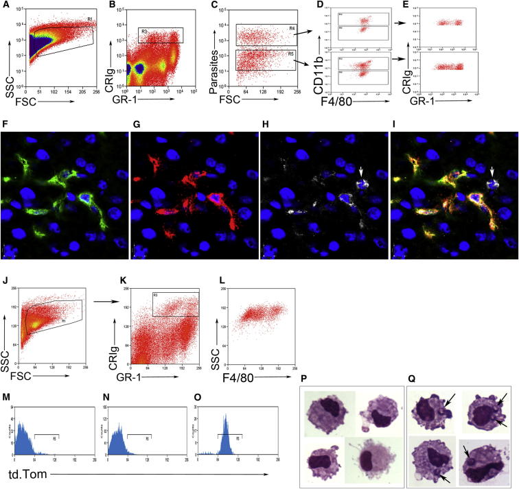 Figure 3