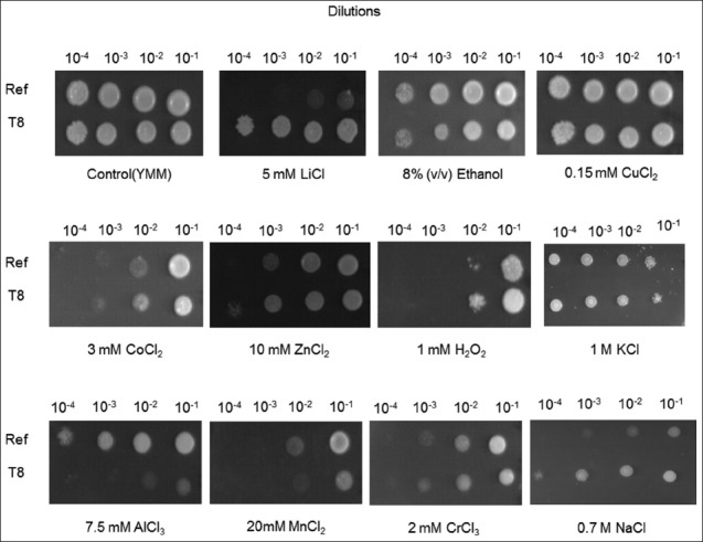 FIGURE 2