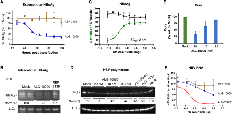 Figure 2