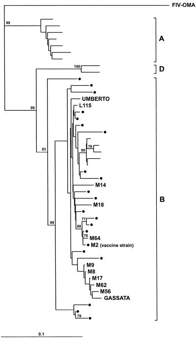 FIG. 5