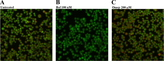 FIG. 6.