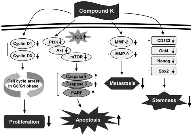 Figure 13