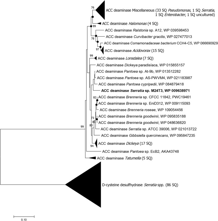 Fig. 5