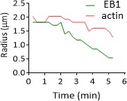 Figure 2—figure supplement 2.