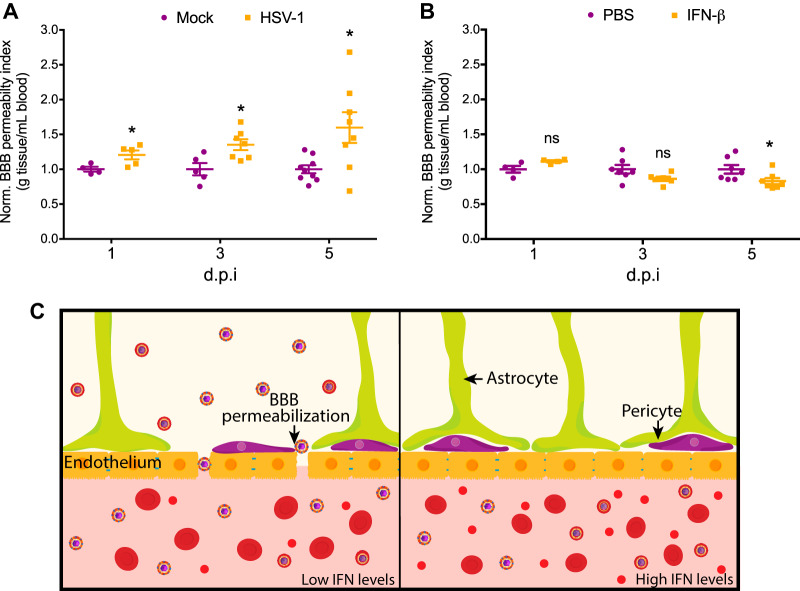 FIG 6