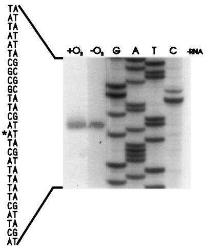 FIG. 6