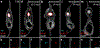Extended data figure 5: