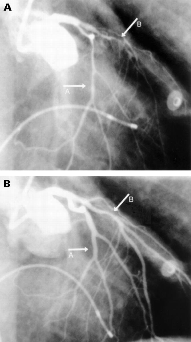 Figure 2  