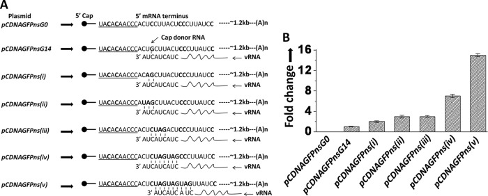 Fig 3