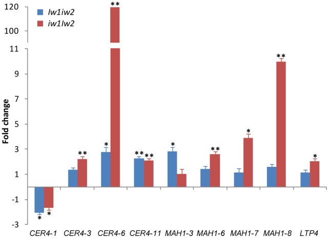 Figure 5