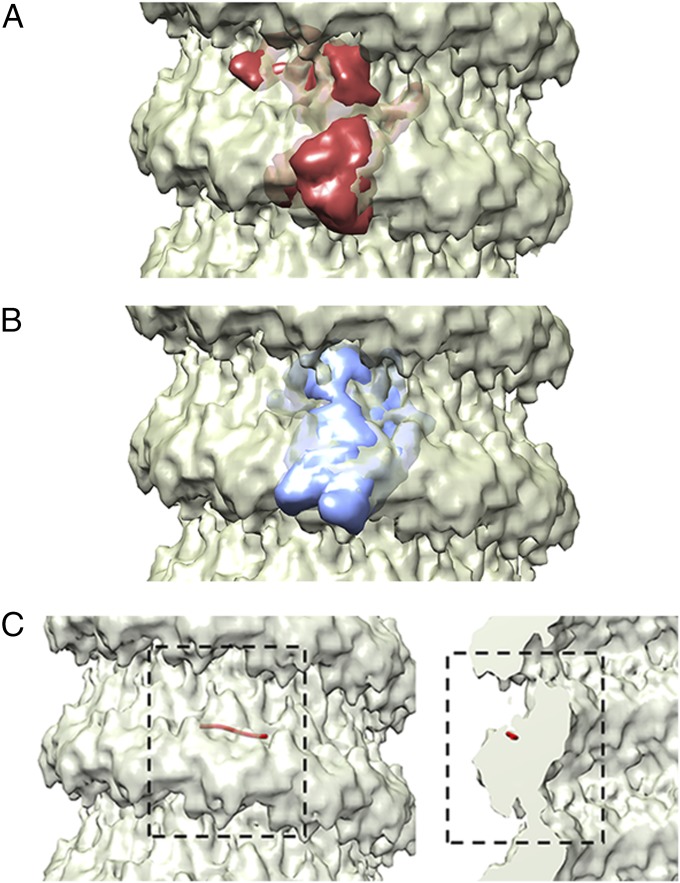 Fig. 3.