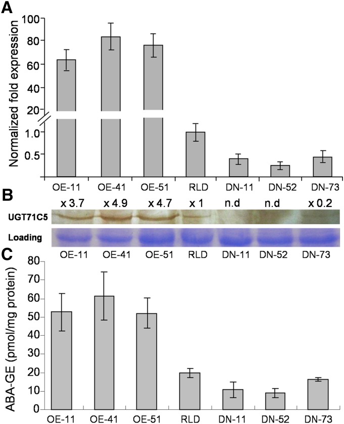 Figure 3.