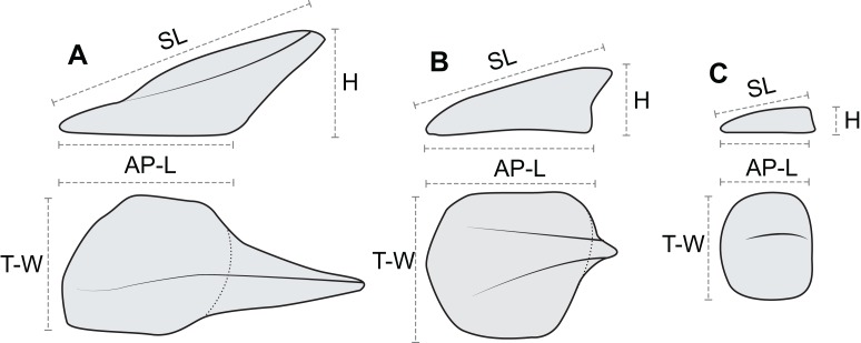 Figure 7