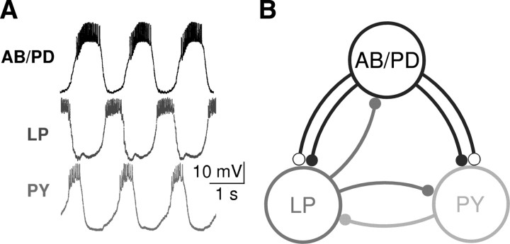 Figure 1.