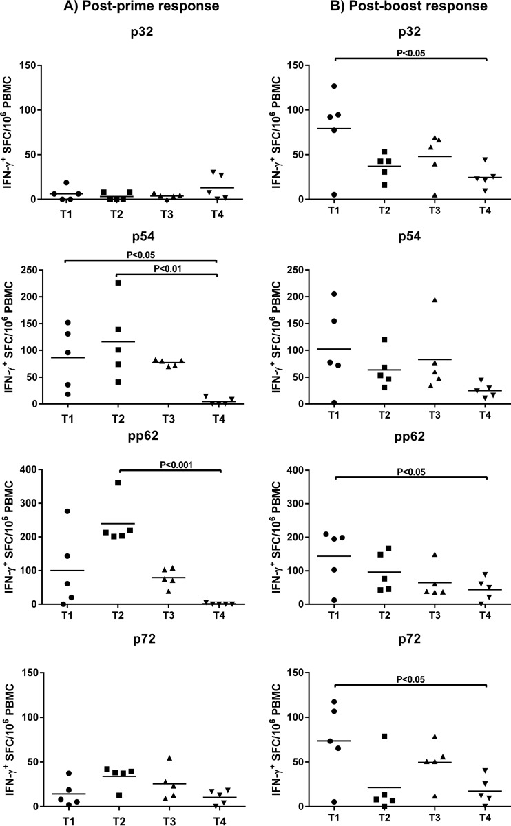 FIG 6