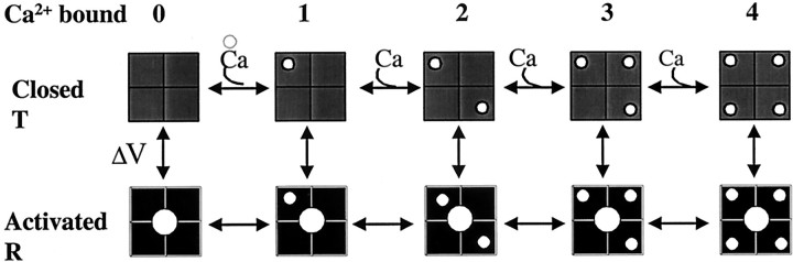 Fig. FS1.