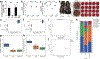 Extended Data Fig. 2 |