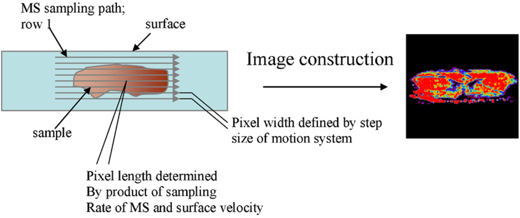 Fig. 3