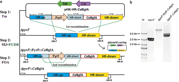 Fig. 1