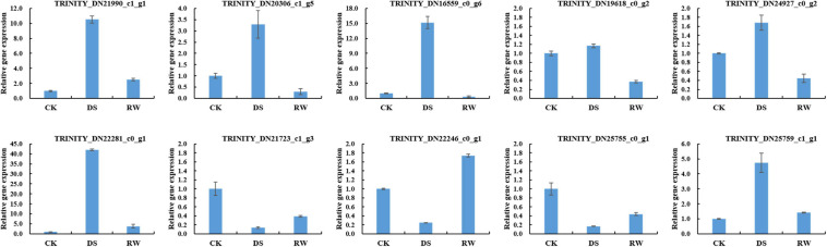 FIGURE 2