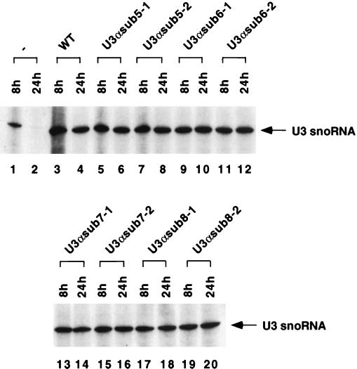 FIG. 5