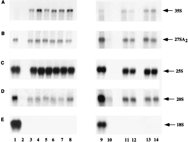 FIG. 7