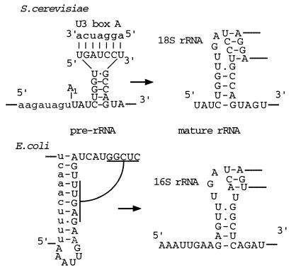 FIG. 8