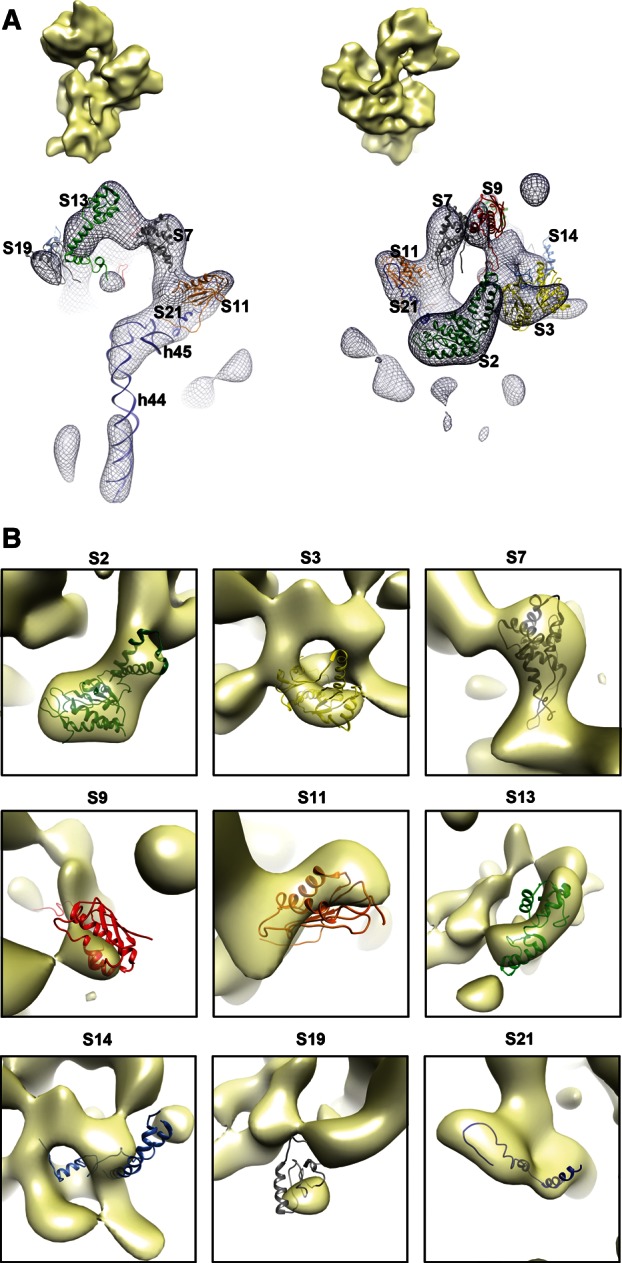 FIGURE 5.