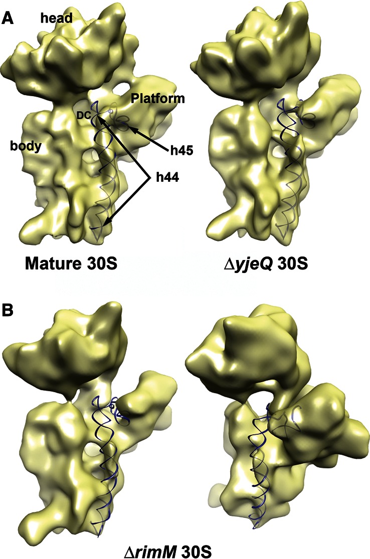 FIGURE 4.