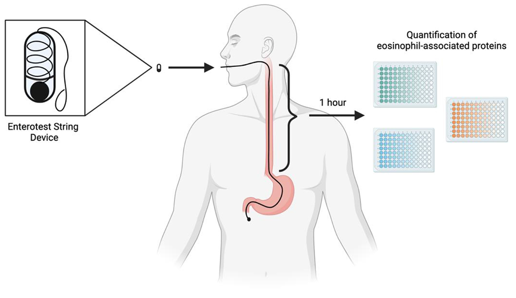 Figure 1: